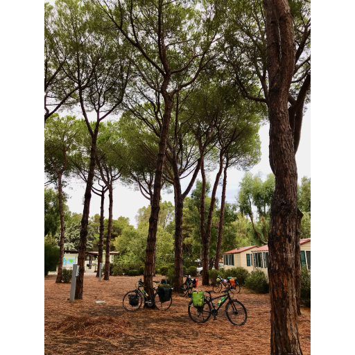 europe2019_web - 847