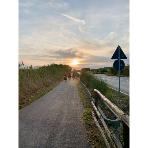 europe2019_web - 851