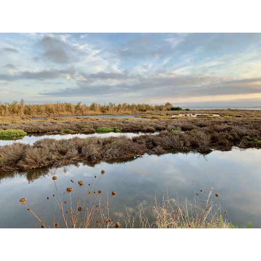 europe2019_web - 854