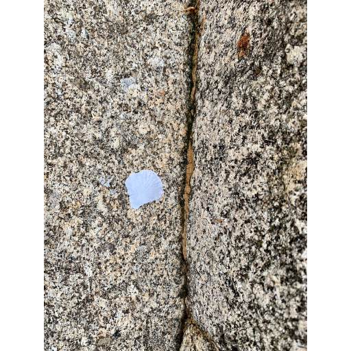 europe2019_web - 857