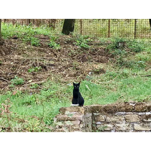 europe2019_web - 864