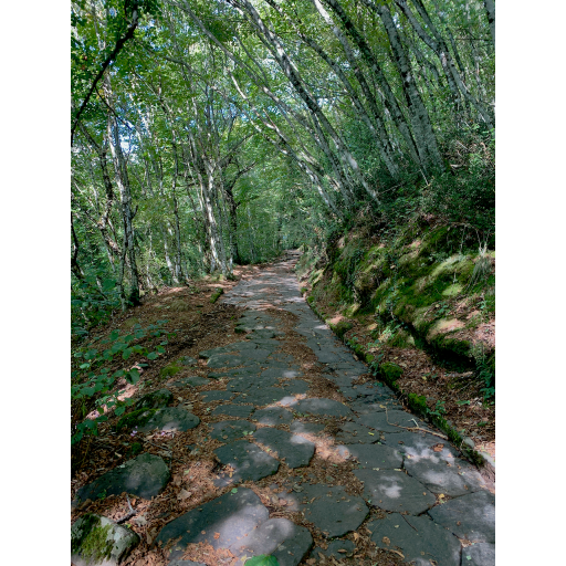 europe2019_web - 879