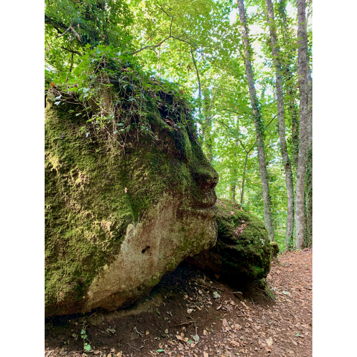 europe2019_web - 881