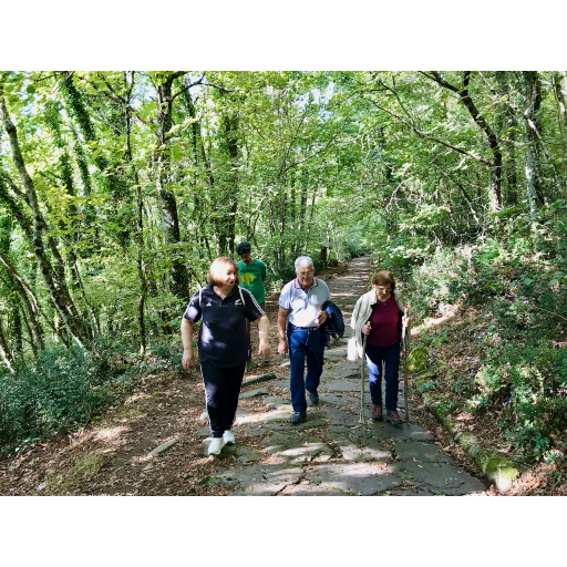 europe2019_web - 885