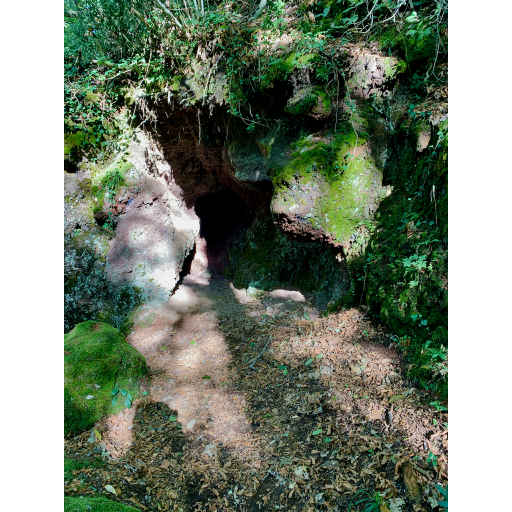 europe2019_web - 889