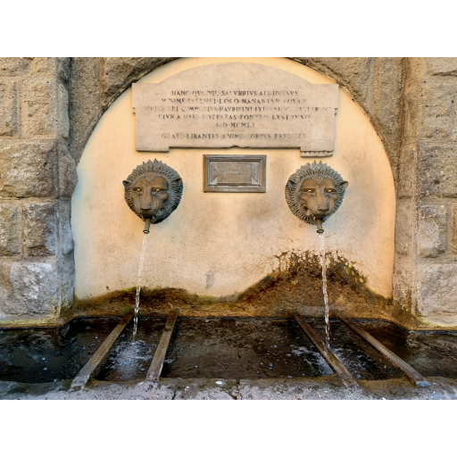 europe2019_web - 890