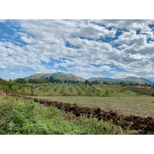 europe2019_web - 903