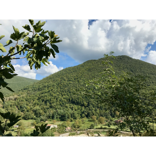 europe2019_web - 913