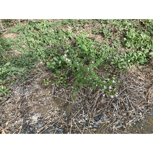 europe2019_web - 964