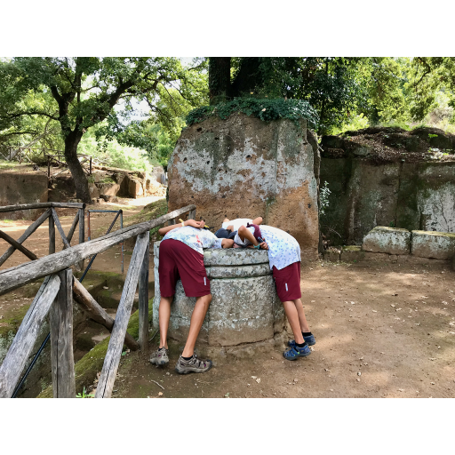 europe2019_web - 968