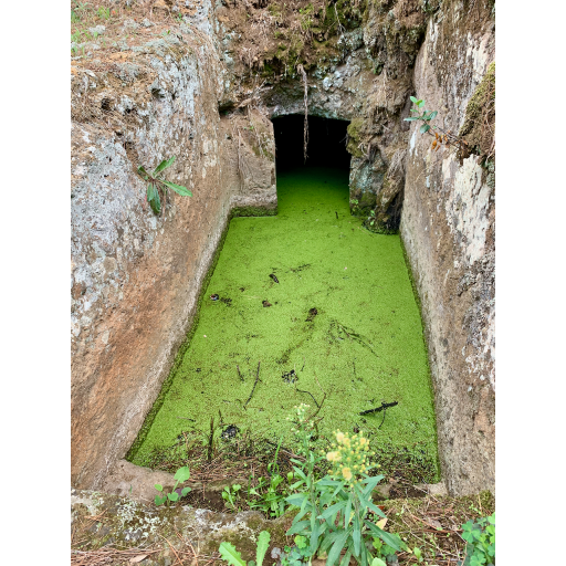 europe2019_web - 977