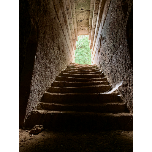 europe2019_web - 982