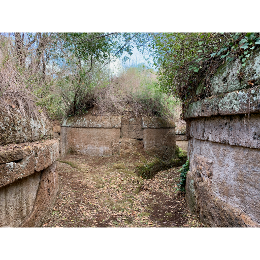 europe2019_web - 985