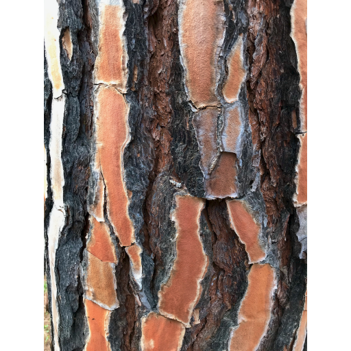 europe2019_web - 986