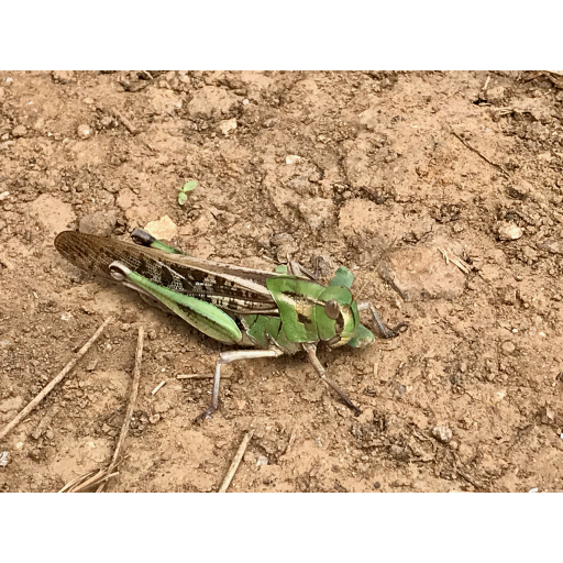 europe2019_web - 987